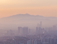 외부적 독소 미세먼지