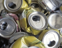 외부적 독소 중금속