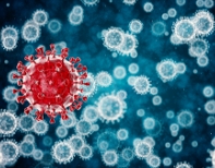 체내독소 유해균