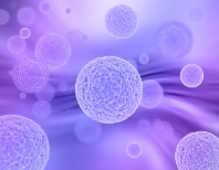 체내독소 활성산소