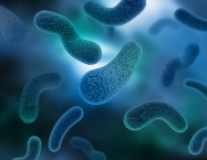 독소로 인해 나타나는 증상 면역기능저하