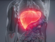 독소로 인해 나타나는 증상 간 및 쓸개의 통증